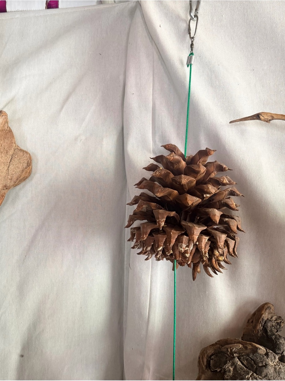 🌲NATURE INSPIRED DECOR - Picture 12 of 13